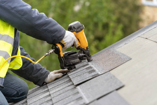 Best Roof Maintenance and Cleaning  in Rockwood, TN